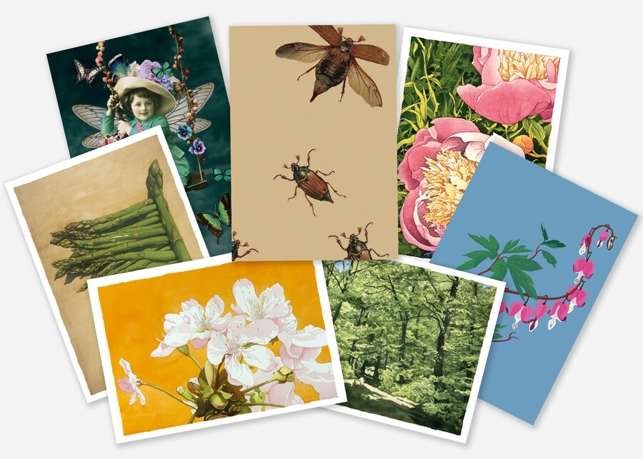 Ff mai26 index freshfish postcards gmbh | Postkarten Bern Schweiz | Sonja Kräuliger