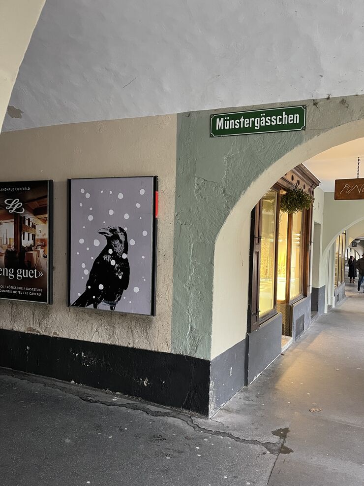 Rabe Muenstergaessli freshfish postcards gmbh | Postkarten Bern Schweiz | Sonja Kräuliger