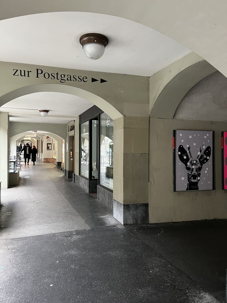Reh Gerechtigkeitsgasse freshfish postcards gmbh | Postkarten Bern Schweiz | Sonja Kräuliger